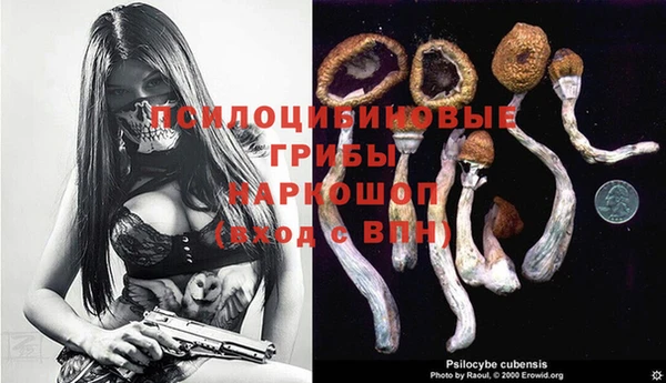apvp Богородск
